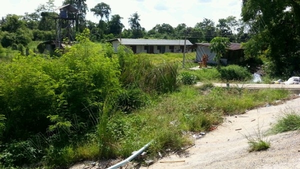 ขายที่ดินพร้อมโรงงาน 14 ไร่ 1 งาน 23 ตารางวา จังหวัดนครสวรรค์ ติดต่อเจ้าของโดยตรง คุณพรชนก 081-785-5285 คุณพิชัย 081-475-3430