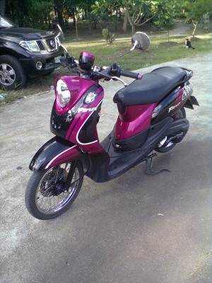 ขายฟีโน่เกย์แยก  ปลายปี 2011