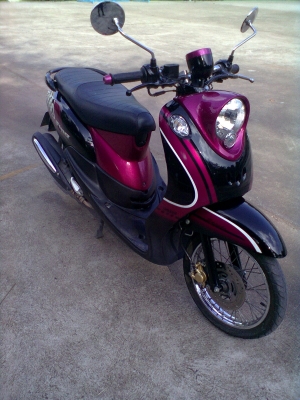 ขายฟีโน่เกย์แยก  ปลายปี 2011