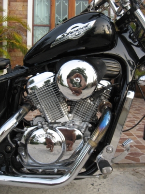 ขาย HONDA STEED 400 แต่งแนว ๆ ราคา 65,000 ขาย HONDA STEED 400 แต่งแนว ๆ ราคา 65,000