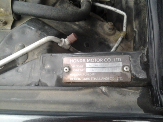 ขายแจ้วคับ