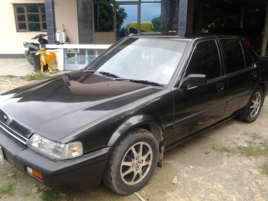 ขายแจ้วคับ