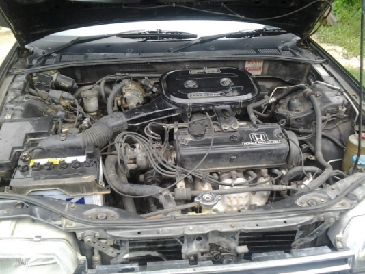 ขายแจ้วคับ