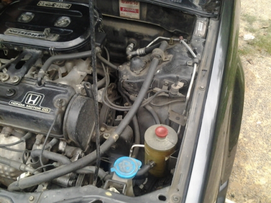 ขายแจ้วคับ