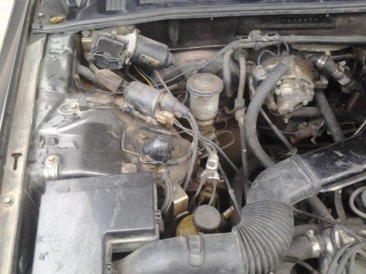 ขายแจ้วคับ