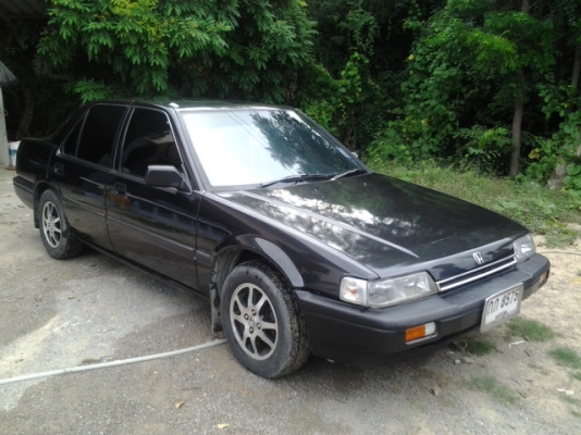 ขายแจ้วคับ