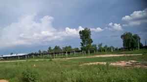 ขายนอกเรื่อง บ่อนไก่ชน ถูกต้องตามกฎหมาย ขายนอกเรื่อง บ่อนไก่ชน ถูกต้องตามกฎหมาย