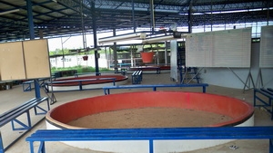 ขายนอกเรื่อง บ่อนไก่ชน ถูกต้องตามกฎหมาย ขายนอกเรื่อง บ่อนไก่ชน ถูกต้องตามกฎหมาย