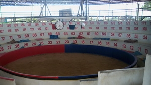 ขายนอกเรื่อง บ่อนไก่ชน ถูกต้องตามกฎหมาย ขายนอกเรื่อง บ่อนไก่ชน ถูกต้องตามกฎหมาย