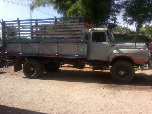 ขาย6ล้อIZUSU หน้ายาว