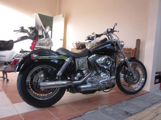 ขาย harley davidson dyna low rider