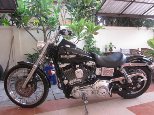 ขาย harley davidson dyna low rider