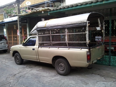 ขายดาวน์ นิสสันฟรอนเทียร์ตอนเดียว TD27 60,000 ขายดาวน์ นิสสันฟรอนเทียร์ตอนเดียว TD27 60,000