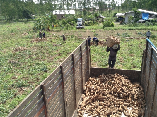 ขาย ไอ้้หลงโบว์TF7262รถหห้้้าางมือเดียวว ยางใหม่10เส้น ครัชพึ่งเปลี่ยน พร้อมใช้สุดๆ