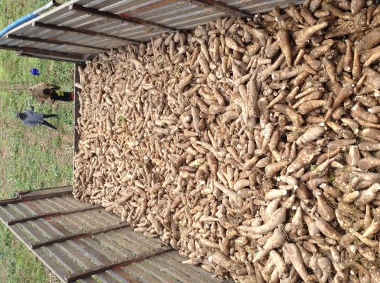 ขาย ไอ้้หลงโบว์TF7262รถหห้้้าางมือเดียวว ยางใหม่10เส้น ครัชพึ่งเปลี่ยน พร้อมใช้สุดๆ