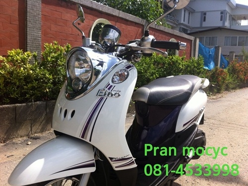 ขายfinoสีขาวม่วง คลาสสิคปี2555