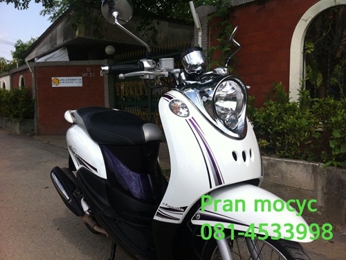 ขายfinoสีขาวม่วง คลาสสิคปี2555