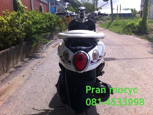 ขายfinoสีขาวม่วง คลาสสิคปี2555