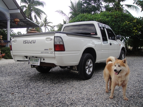 ISUZU ดาก้อนอาย ปี 1997 ทะเบียนเต็มพร้อมใช้งาน