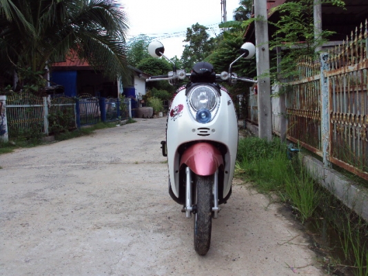 scoopy i ปี54