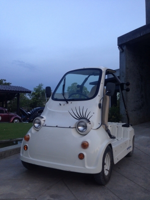 ขายรถน่ารัก mitsuoka NC1