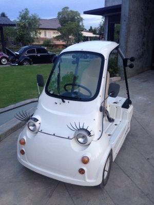 ขายรถน่ารัก mitsuoka NC1