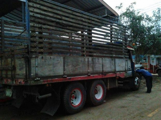 ISUZU TX 165 HP 6BD1 รถหัวยาวสิบล้อเพลาเดียว ช่วงล่างใหญ่ชุดเพลาของ KT925 คัชซีสวยไม่มีบวม เครื่องแน่นดีไม่มีเยิ้ม ภายในเก๋ง พวงมาลัยเพาเวอร์ กระบะคอกไม้ความยาว 6 เมตรสภาพดีไม่ผุพร้อมบรรทุกได้เลย ช่วงล่างยางสภาพดี 10 เส้นประมาณ 60\% พร้อมใช้งาน เอกสารเล่มท ISUZU TX 165 HP 6BD1 รถหัวยาวสิบล้อเพลาเดียว ช่วงล่างใหญ่ชุดเพลาของ KT925 คัชซีสวยไม่มีบวม เครื่องแน่นดีไม่มีเยิ้ม ภายในเก๋ง พวงมาลัยเพาเวอร์ กระบะคอกไม้ความยาว 6 เมตรสภาพดีไม่ผุพร้อมบรรทุกได้เลย ช่วงล่างยางสภาพดี 10 เส้นประมาณ 60\% พร้อมใช้งาน เอกสารเล่มท