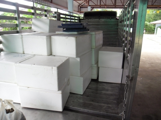 ขายหกล้อ HINO MEGA150แรง