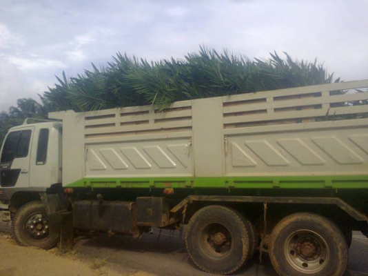 ขาย HINO FM3M  240 แรง ปี 43