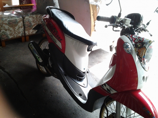 ขาย Fino ลูกโซ ชัก3 แต่งสวย