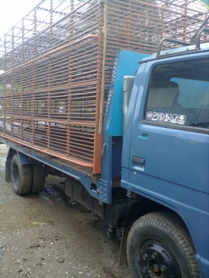 ขายหกล้อNPR115  ห้างแท้  รถกรงเป็ด  สภาพสวยมาก