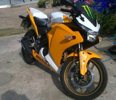 ขาย อกแต่ง CBR150i ราคา1600 โทร 0883745640 คับ ขาย อกแต่ง CBR150i ราคา1600 โทร 0883745640 คับ