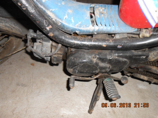 ขาย yamaha Chippy