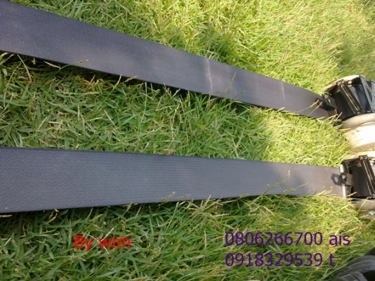 ขายเข็มขัดนิรภัย ซีเดีย นิว ตัวนอก สีเทา