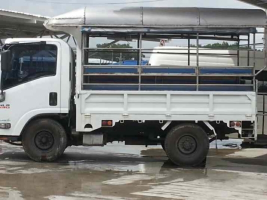 4ล้อ ISUZU NLR / 130HP **ป้ายใหญ่**