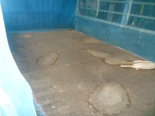 อีซูซุ NkR 6 ล้อ 88 แรงม้า