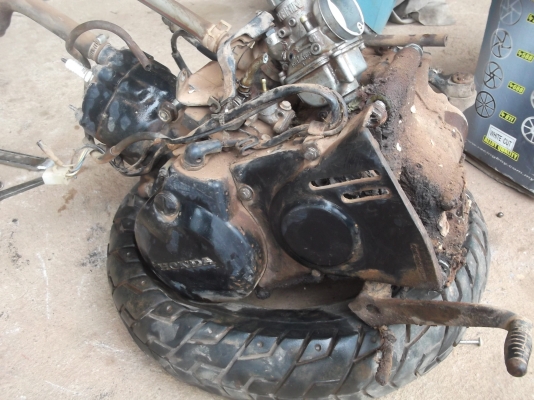 อะไหล่ HONDA  BEAST