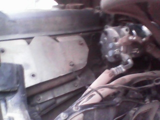 ขาย ทั้งสดและดาว ขาย ทั้งสดและดาว