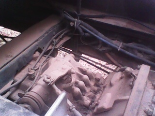 ขาย ทั้งสดและดาว ขาย ทั้งสดและดาว