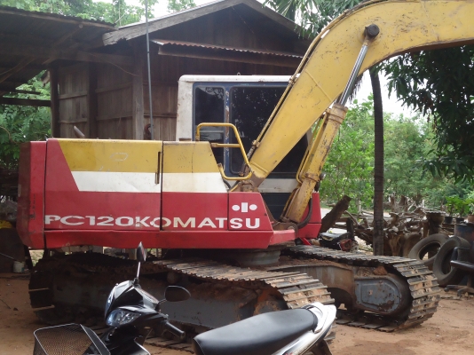 ขายแมคโคโคมัสสุ120-5