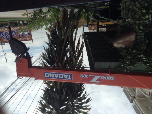 ขายเครน2ตัน