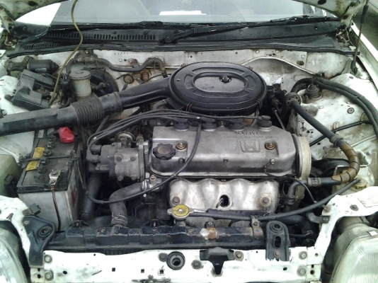 Honda Civicท้ายแดงปี89ขายถูกๆครับ36900