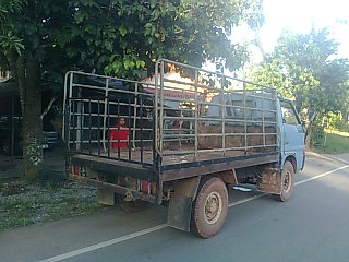 ขายรถ 4 ล้อรั้วใหญ่ ISUZU คัสซี 7896929 เครื่อง C240-171136 74 แรงม้า ใส่ยางขนาด 7.50-15 รถใช้บรรทุกไม้ยาง ราคา 65000