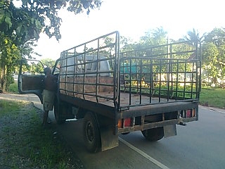 ขายรถ 4 ล้อรั้วใหญ่ ISUZU คัสซี 7896929 เครื่อง C240-171136 74 แรงม้า ใส่ยางขนาด 7.50-15 รถใช้บรรทุกไม้ยาง ราคา 65000