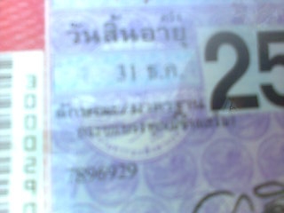 ขายรถ 4 ล้อรั้วใหญ่ ISUZU คัสซี 7896929 เครื่อง C240-171136 74 แรงม้า ใส่ยางขนาด 7.50-15 รถใช้บรรทุกไม้ยาง ราคา 65000