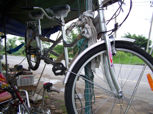 ขายจักรยาน ปั่นสองคน