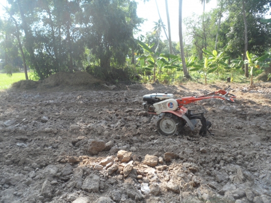 รถพรวนดินเดินตาม KUBOTA T702 / 17500บาท