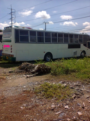 ขายรถบัสราคาถูกจำนวนมาก