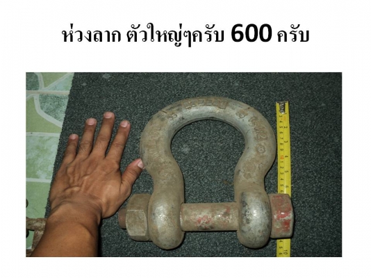 ขายห่วงลากหลายตัวหลายขนาด