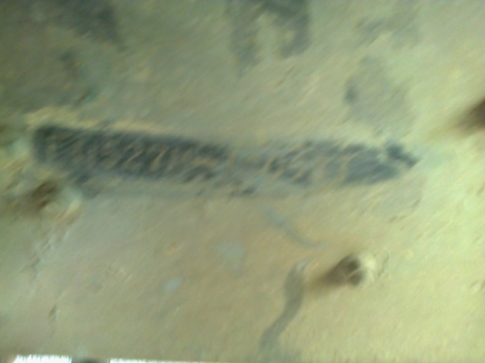 หัวลากฟูโซ่220แรง ห้างแท้เครื่อง เกียร์เดิม หัวเก๋งนอก สวยๆ หัวลากฟูโซ่220แรง ห้างแท้เครื่อง เกียร์เดิม หัวเก๋งนอก สวยๆ